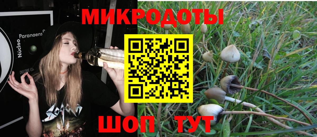Псилоцибиновые грибы мухоморы Туймазы