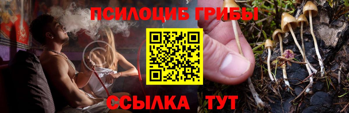 даркнет сайт  Вход с VPN  Туймазы  Псилоцибиновые грибы Psilocybe 